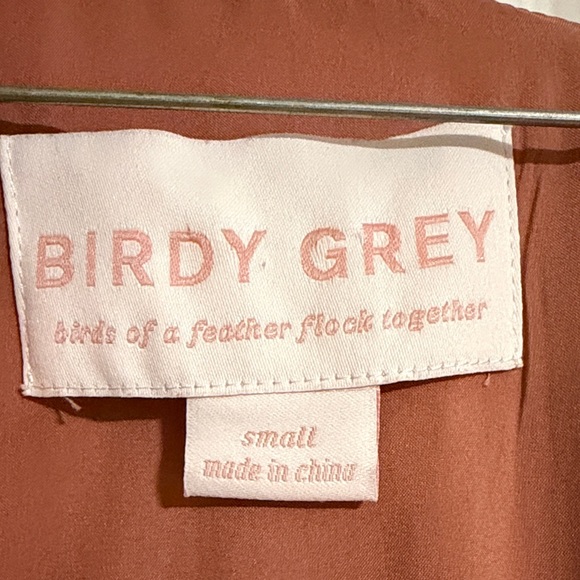 Birdy Grey Satin Dress in Copper - Picture 2 of 3